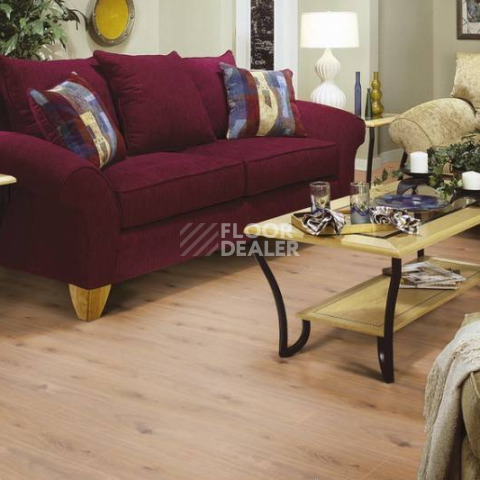 Kronotex Exquisit 8мм d4169 Дуб Престиж Светлый фото 2 | FLOORDEALER
