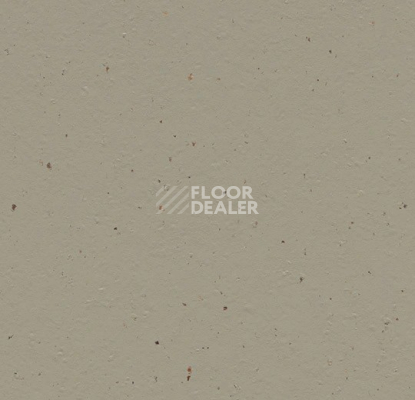 Линолеум Forbo Marmoleum Solid Cocoa 3596 hummus фото 1 | FLOORDEALER