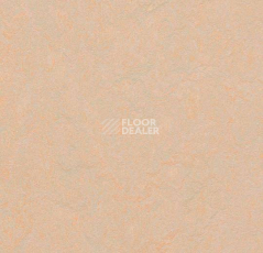Кварцвиниловые полы Forbo Marmoleum Modular Colour 3563 фото 1 | FLOORDEALER