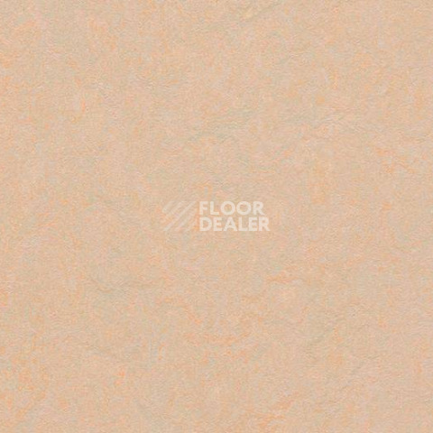 Кварцвиниловые полы Forbo Marmoleum Modular Colour 3563 фото 1 | FLOORDEALER