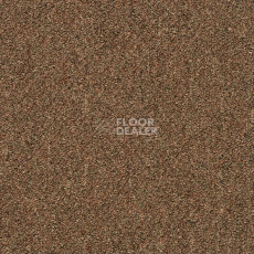 Ковровая плитка Shaw Momentum 02721 фото 1 | FLOORDEALER