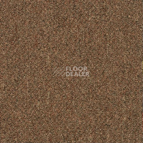 Ковровая плитка Shaw Momentum 02721 фото 1 | FLOORDEALER