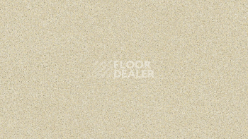 Линолеум Tarkett Activa R KOSMO 1 фото 1 | FLOORDEALER