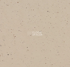 Линолеум Forbo Marmoleum Decibel on Order 359035 meringue фото 1 | FLOORDEALER