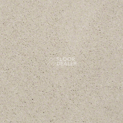Ковролин Shaw Design Texture Platinum 104 фото 1 | FLOORDEALER