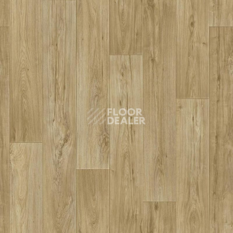 Линолеум Tarkett Комфорт KADET 3 фото 1 | FLOORDEALER