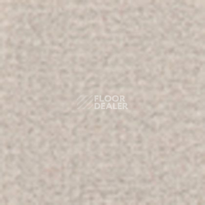 Ковролин Tapibel Casa 24841 фото 1 | FLOORDEALER