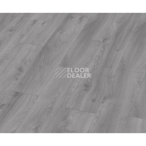 Ламинат Kronotex Mammut d3670 Дуб Макро Светло-серый фото 1 | FLOORDEALER