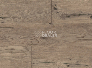 Ламинат Kronotex Robusto 12мм d80722 Дуб Пустыни Серый фото 1 | FLOORDEALER