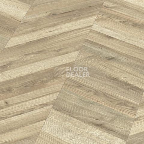 Kronopol Platinium Paloma AQUA BLOCK 8mm Kronopol Platinium Paloma Aqua Block 24h Дуб Марио D80184 фото 3 | FLOORDEALER