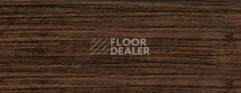 Плинтус Dollken EP 60/13 2635 фото 2 | FLOORDEALER