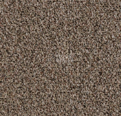 Грязезащитные покрытия Forbo Coral Go 2204 Havana Brown фото 1 | FLOORDEALER