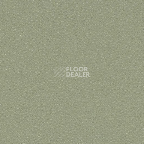Линолеум Forbo SafeStep Aqua 180742 sage фото 1 | FLOORDEALER
