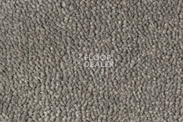 Ковролин Edel Vanity 184 фото 1 | FLOORDEALER