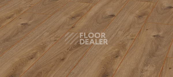 Ламинат Kronotex Exquisit 8мм d4166 Дуб Престиж Натуральный фото 1 | FLOORDEALER