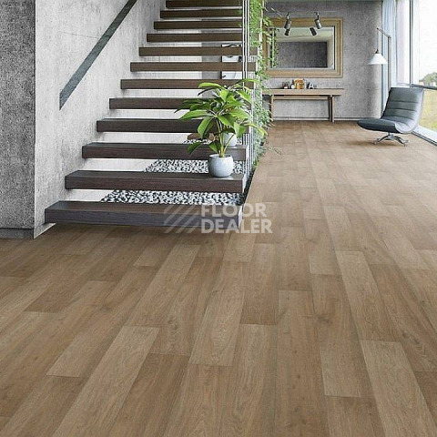 Tarkett Galaxy Burgas 1 фото 2 | FLOORDEALER