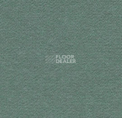 Ковролин Forbo Flotex wonderlab 07 900268 Celadon фото 1 | FLOORDEALER