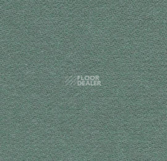 Ковролин Forbo Flotex wonderlab 07 900268 Celadon фото 1 | FLOORDEALER