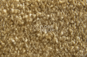 AW Masquerade Moretta 54 фото 3 | FLOORDEALER