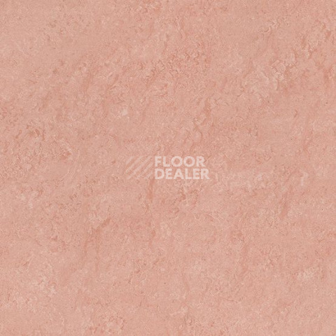 Линолеум Gerflor Marmorette DLW  2mm 0211 Pink фото 1 | FLOORDEALER