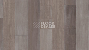 Kronotex Mammut Plus d4738 Дуб Северный фото 5 | FLOORDEALER