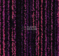 Грязезащитные покрытия Forbo Coral Welcome 3219 Colour Purple фото 1 | FLOORDEALER