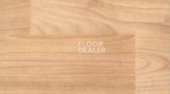 Линолеум Gerflor Taraflex evolution Wood 6350_Light_Cherry_Design фото 1 | FLOORDEALER