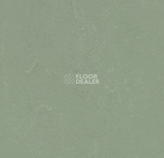 Линолеум Forbo Marmoleum Solid Concrete 3750 pine forest фото 1 | FLOORDEALER