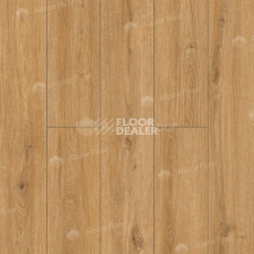 Classen Arteo 8 M 62752 Дуб Хамра фото 4 | FLOORDEALER