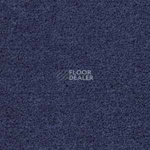 Ковролин Radici Montecarlo 35 фото 1 | FLOORDEALER