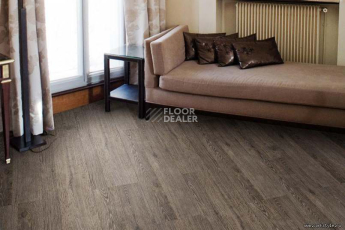 Wood OAK RUSTIC SILVER фото 3 | FLOORDEALER
