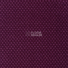 Ковролин Sintelon Podium 78913 фото 1 | FLOORDEALER
