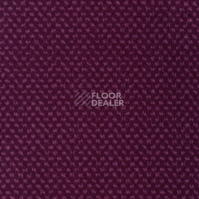 Ковролин Sintelon Podium 78913 фото 1 | FLOORDEALER