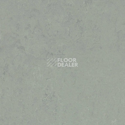 Линолеум Forbo Marmoleum Solid Concrete 3762 loam фото 1 | FLOORDEALER