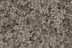 Ковролин Bell Rock Beaulieu of America 1445 фото  | FLOORDEALER