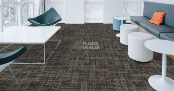 Standard Carpets Casini Casini 548 фото 2 | FLOORDEALER