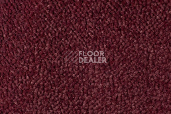 Ковролин Edel Vanity 155 фото 1 | FLOORDEALER