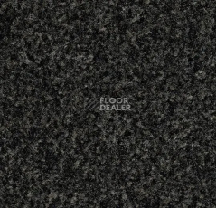 Грязезащитные покрытия Forbo Coral Pro-fit Quattro в плитке свободной укладки 5721 Hurricane Grey фото 1 | FLOORDEALER