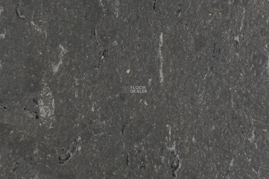 Forbo Marmoleum Solid Piano 3607-360735 grey dusk фото 2 | FLOORDEALER
