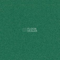 Линолеум Tarkett Primo Plus 312 фото 1 | FLOORDEALER