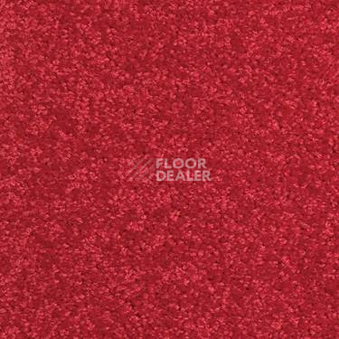 Ковровая плитка Modulyss Cambridge 316 фото 1 | FLOORDEALER