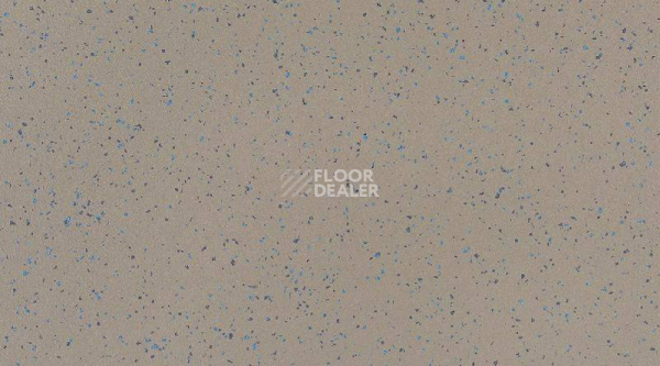 Кварцвиниловые полы Gerflor Attraction Connect 635 x 635 INDIANA_8053_Anambas фото 1 | FLOORDEALER