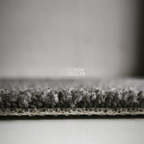 AW Westminster / Вестминстер 79 фото 3 | FLOORDEALER