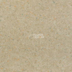 Линолеум Tarkett iQ Aria CARII-667 фото 1 | FLOORDEALER