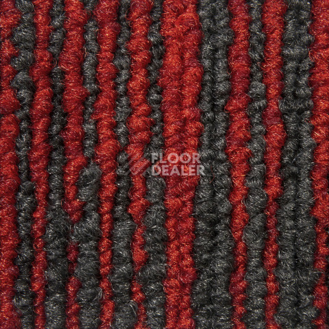 Balsan Trust 570 фото 2 | FLOORDEALER