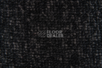 Big  Studio 161 фото 2 | FLOORDEALER