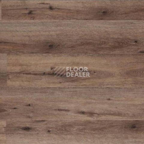 Кварцвиниловые полы Aquafloor Real Wood Glue AF6041 фото 1 | FLOORDEALER