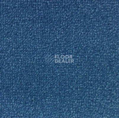 Ковролин Creatuft Sheba 1599 Navy Blue 5m фото 1 | FLOORDEALER