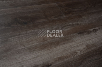 Evofloor Optima Click 4.2мм Дуб Пекан фото 4 | FLOORDEALER