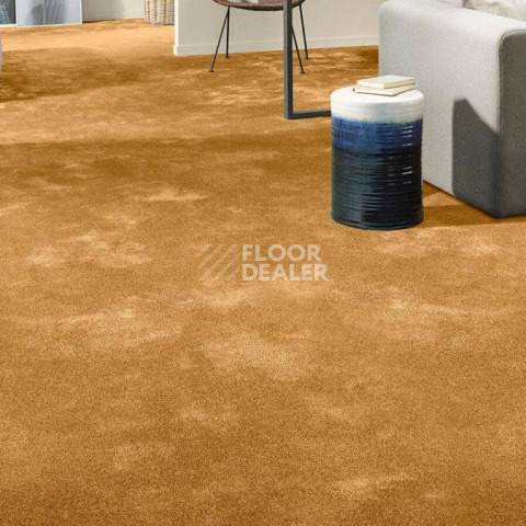 Vorwerk Superior 1064/Lyrica Vorwerk 2f33 фото 2 | FLOORDEALER